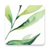 大师兄影视 